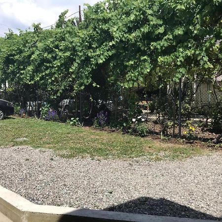 Гостевой Дом С Садом Hotel Gagra Luaran gambar