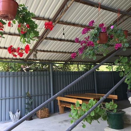 Гостевой Дом С Садом Hotel Gagra Luaran gambar