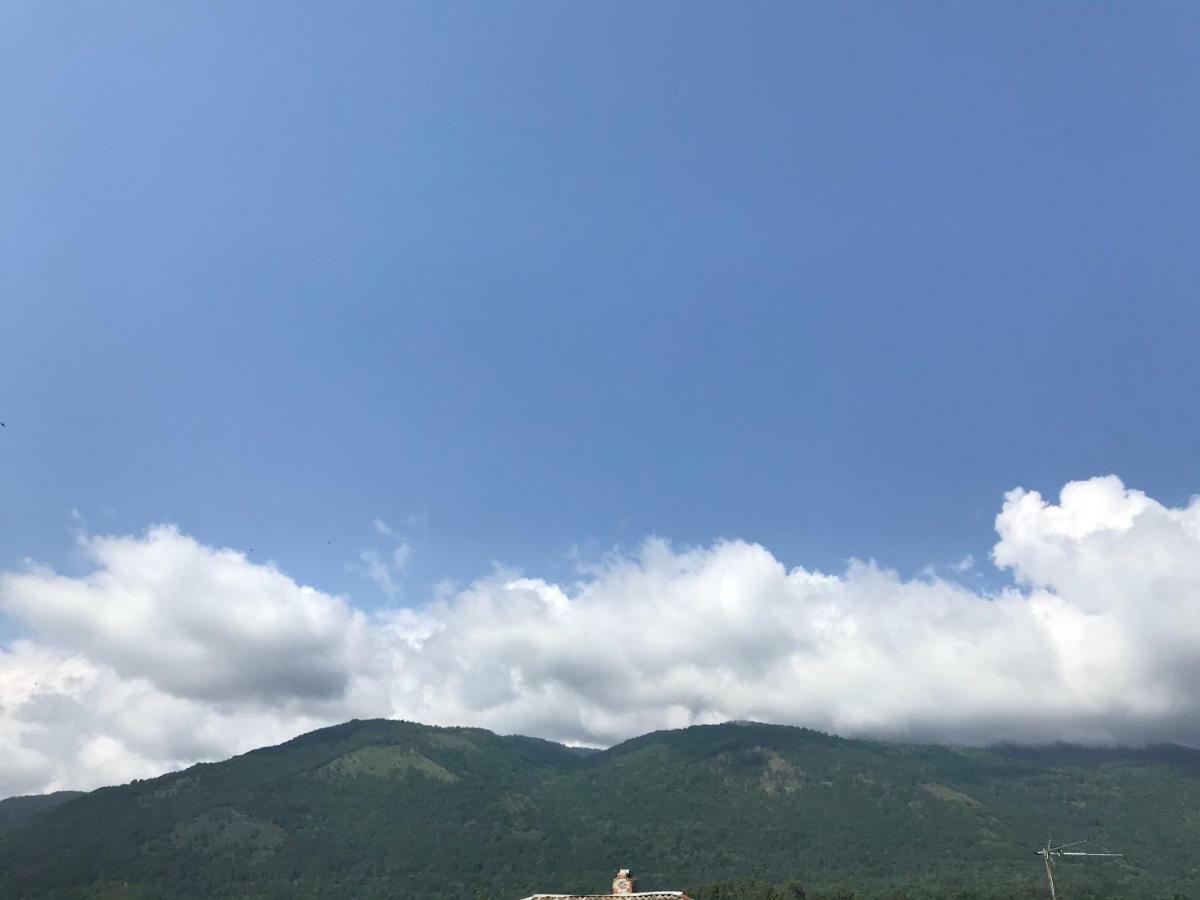 Гостевой Дом С Садом Hotel Gagra Luaran gambar